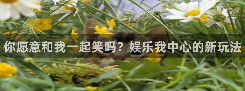 万事娱乐：你愿意和我一起笑吗？娱乐我中心的新玩法