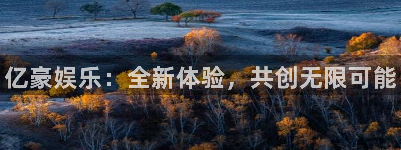 万事娱乐：亿豪娱乐：全新体验，共创无限可能
