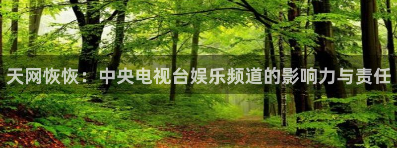 万事娱乐登录：天网恢恢：中央电视台娱乐频道的影响力与责任